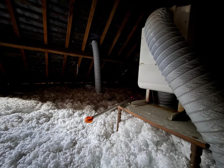 WhatsApp Image 2025-03-31 at 11.39.34 (1)