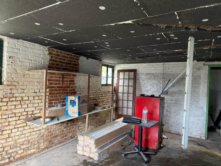 WhatsApp Image 2025-05-05 at 05.32.39