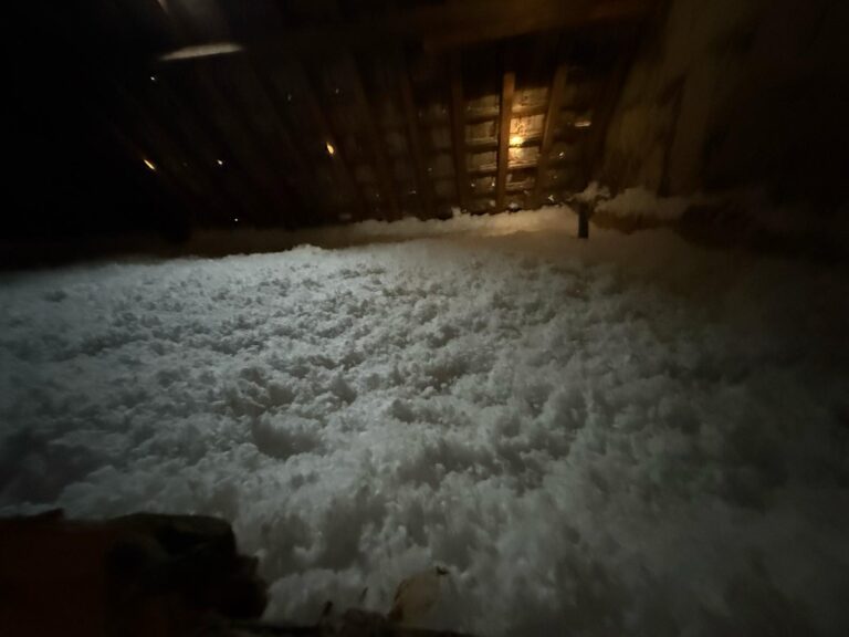 WhatsApp Image 2025-05-05 at 05.32.53