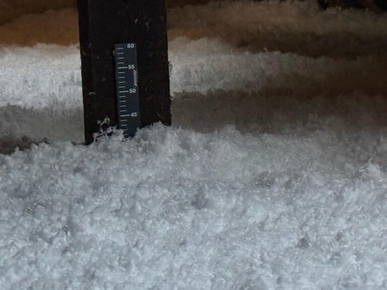 WhatsApp Image 2025-05-05 at 05.32.54