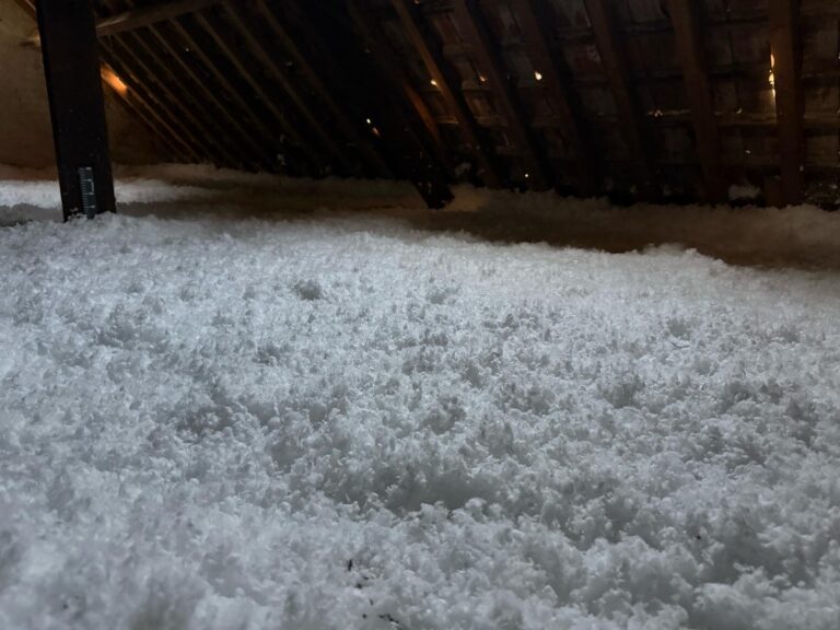 WhatsApp Image 2025-05-05 at 05.32.55 (1)